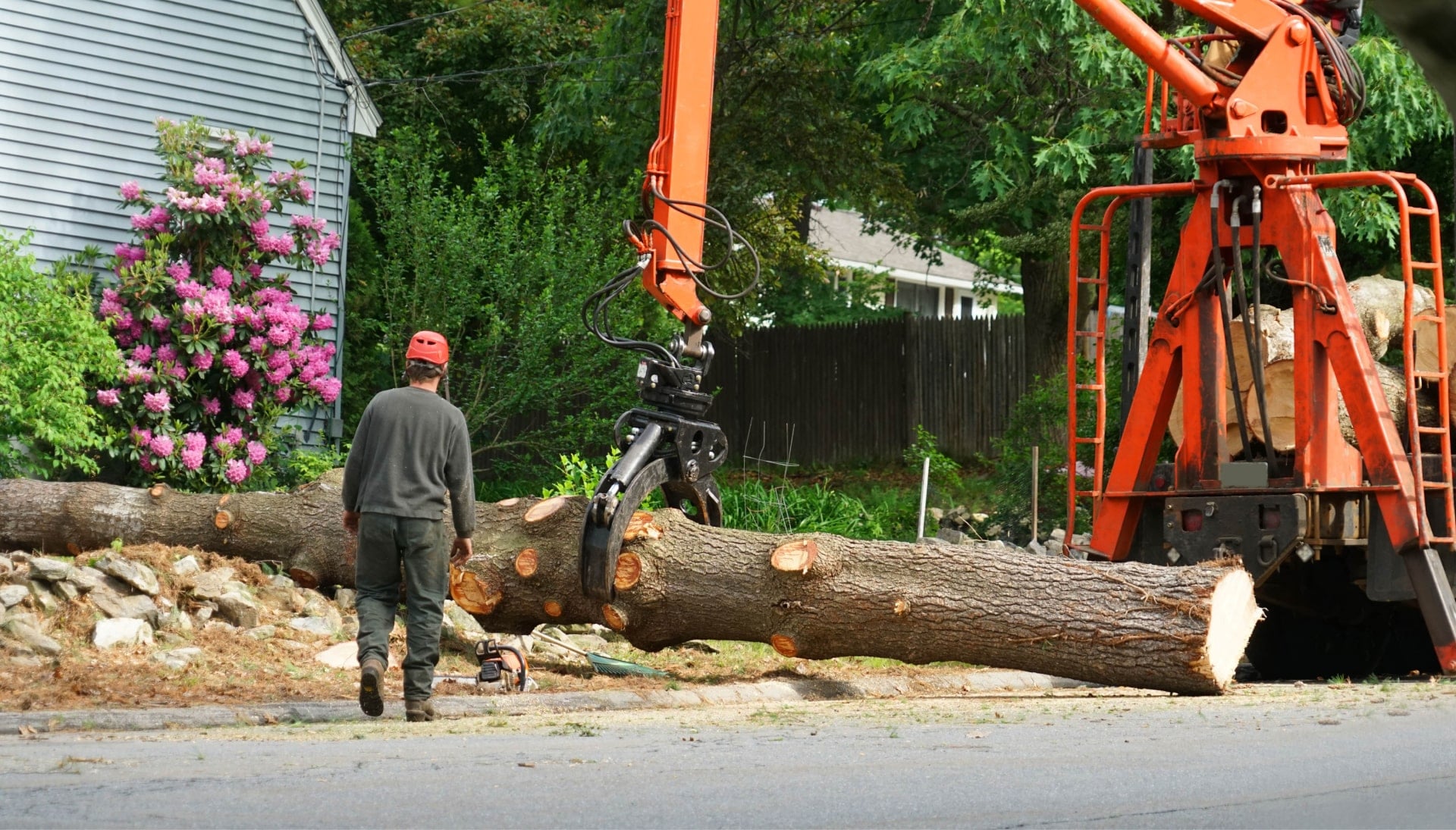 Local partner for Tree removal services in Long Island