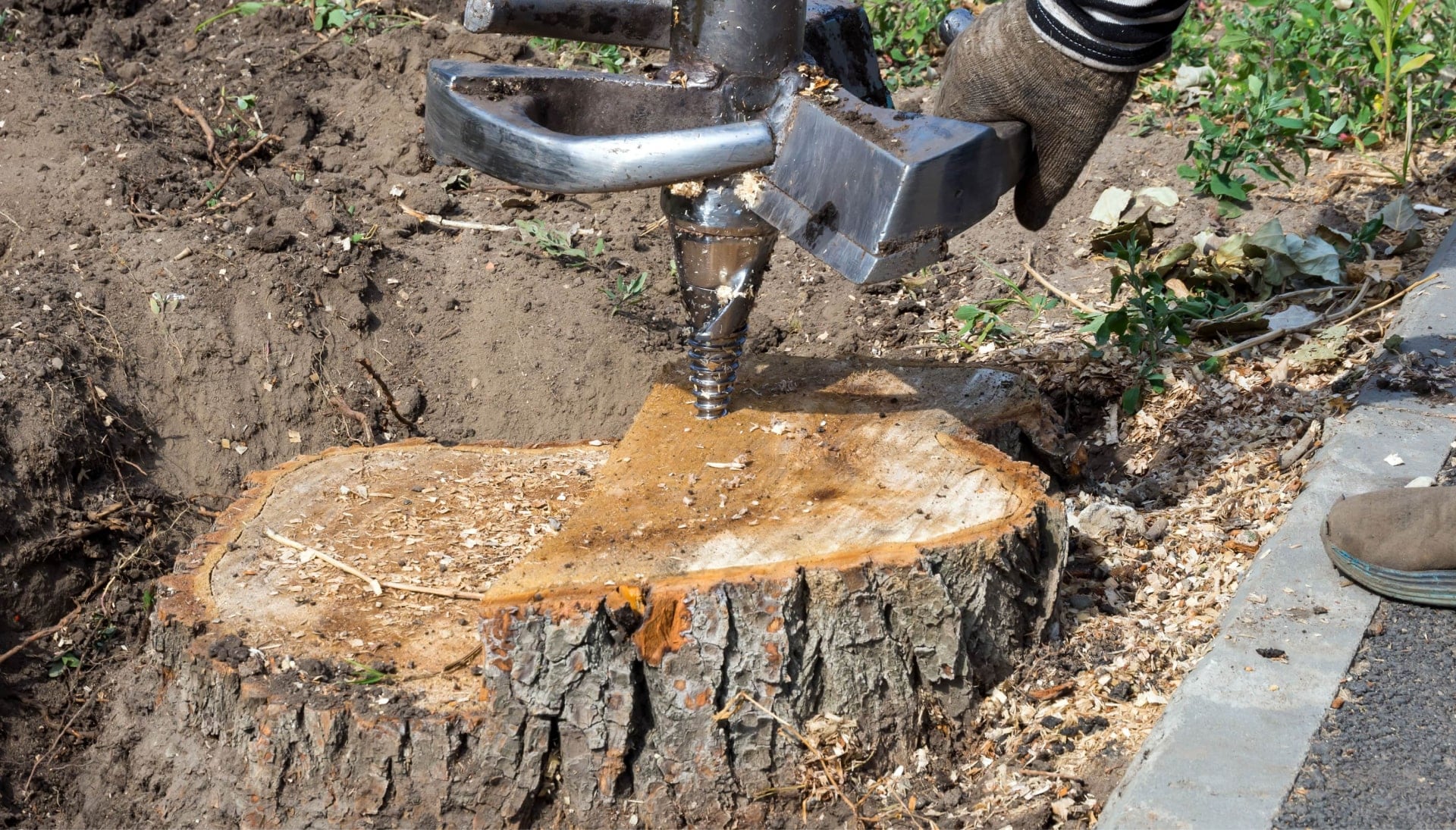 Long Island Tree stump removal